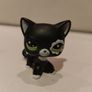 Littlest Pet Shop Shorthair Blythe Photoshoot Cat #2249 Rare Image 7