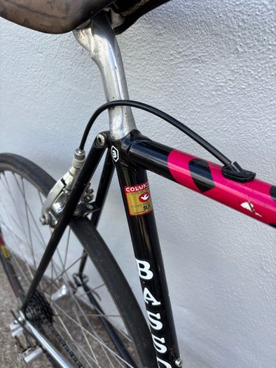 Basso loto