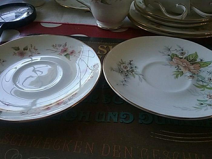 Duchess Glen 316 China Teaset