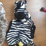 Halloween costumes zebra, shark, one size Image 2