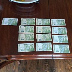 13 old pound noats