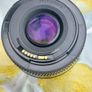 Canon EF 50mm f1.8 II Image 3