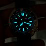 Seiko Land Turtle Image 5