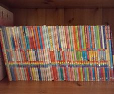Rainbow Magic Fairy books