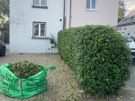 For Any outdoors or Gardening job, small or Big . Image 3