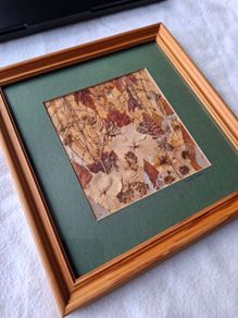 Original Irish Pressed Flower Art by Annette Preston Framed