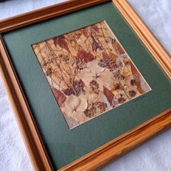 Original Irish Pressed Flower Art by Annette Preston Framed