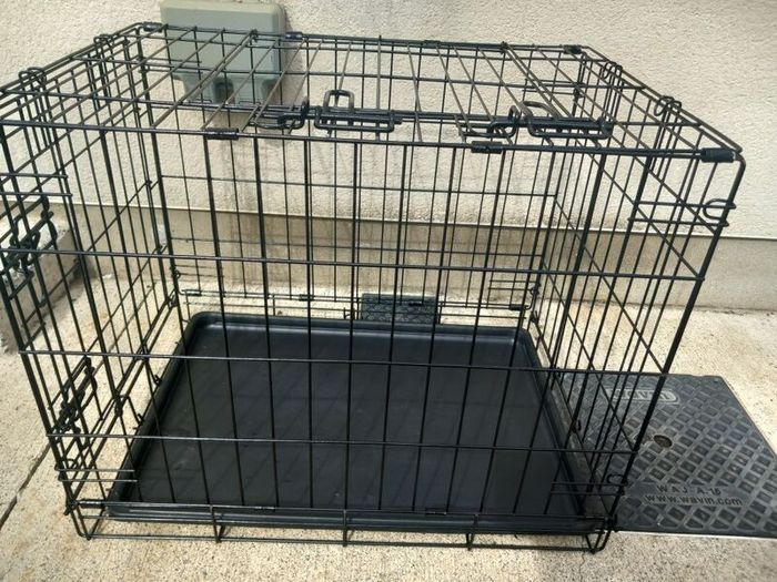 small dog travel crate