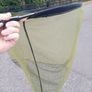 fishing Image 2