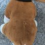 Bundle of 2 Soft Toy Dogs Keel Toys and Primark Plushies Image 8