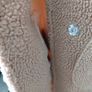teddy coat Image 7