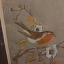 Robin Perched on a Branch Signed Painting - Framed Image 4