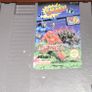 nes Image 10