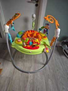 Fisherprice Baby Bouncer