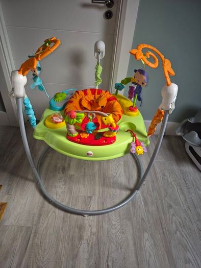 Fisherprice Baby Bouncer