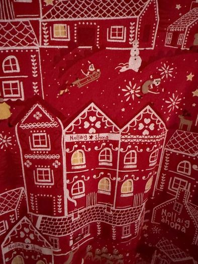 Leigh Tucker Christmas pjs