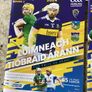 Limerick hurling programmes Image 2