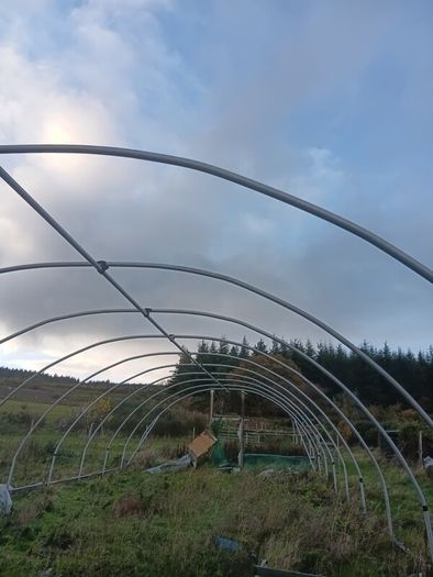 Polytunnel