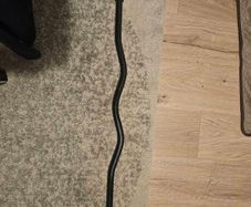 Ez barbell bar 5kg  1"