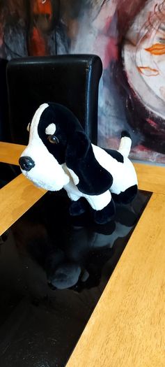 Bassett  Hound  Hush Puppies