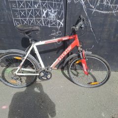 Xl mens bike