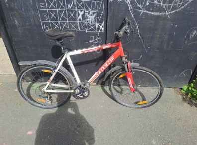 Xl mens bike