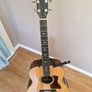 Taylor 818ce Electro Acoustic Image 5