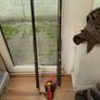 fishing rods and large spinning reel Image 5