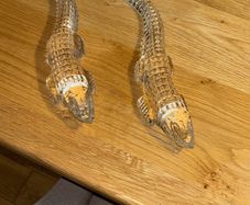 Pair of Rare Waterford Crystal 11.5 inch Crocodiles