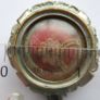 Antique Relic of Ex Praecordiis S.Paulia - Reliquary - Saint Image 10