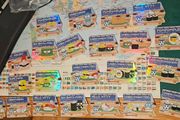 Sanrio Collectible Cards in Phito Safety Film Collection Set