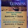 GAA Hurling Programmes (Ulster) X 7 Image 2