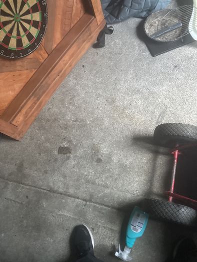dart board