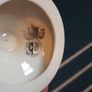 white belleek vase Image 4
