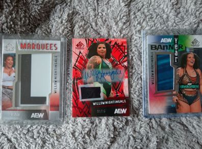 AEW Willow Nightingale Auto Card Lot