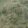 Bales of haylage Image 3