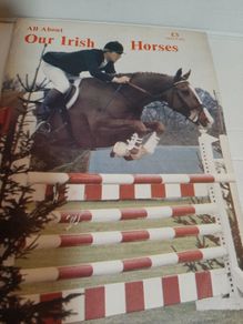 Our irish horses 1980's