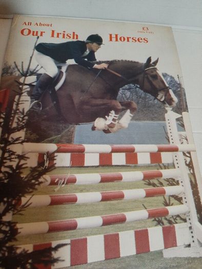 Our irish horses 1980's