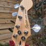 Squier Active Jazz Bass 5 String Image 5