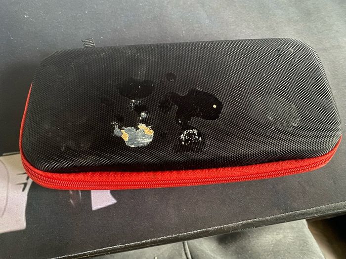 nintendo case 1
