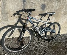 adult bike
