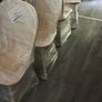 4 Brand New Dining Chairs - DELIVERY in GALWAY for free Image 3