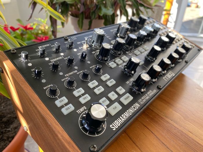 Moog Subharmonicon