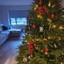 Christmas tree Image 2