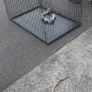 Dog crate Image 2
