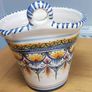 Cuban Oregano Plant with ceramic pot Image 7