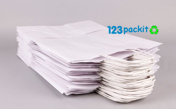 Lot of 100 white carrier bags Eco Friendly bags with twisted handles top quality for take away and retail lot of 100 pcs Small 18 x 8 x 24 cm - 7x3.2x9.5in