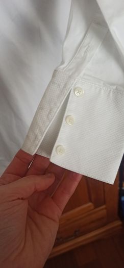 Shirt Tommy