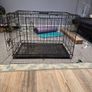dog crate Image 3