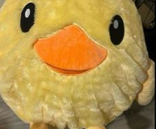 Large inflated chicken / free!